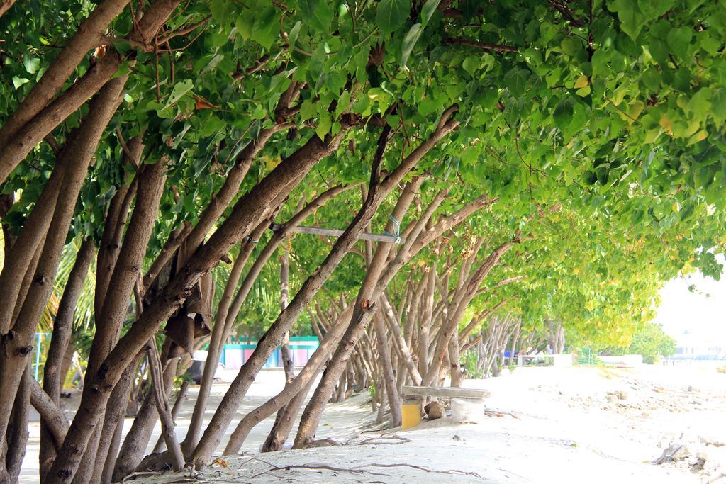 Rip Tide Vacation Inn, K.Guraidhoo Ґурайдгу Екстер'єр фото