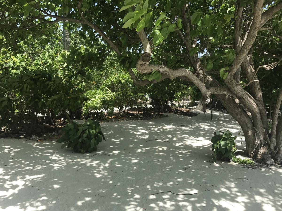 Rip Tide Vacation Inn, K.Guraidhoo Ґурайдгу Екстер'єр фото